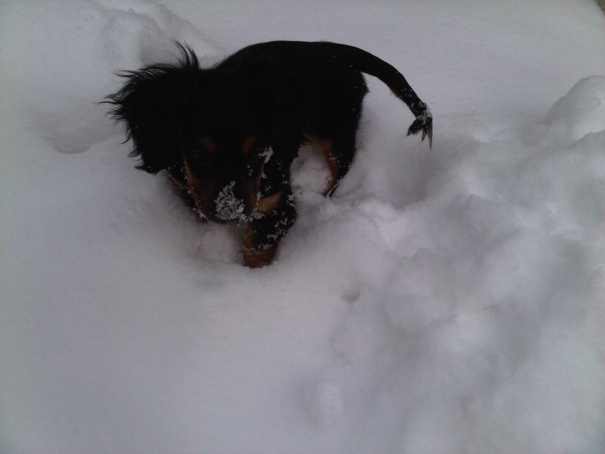 Img00086 20110129 1312