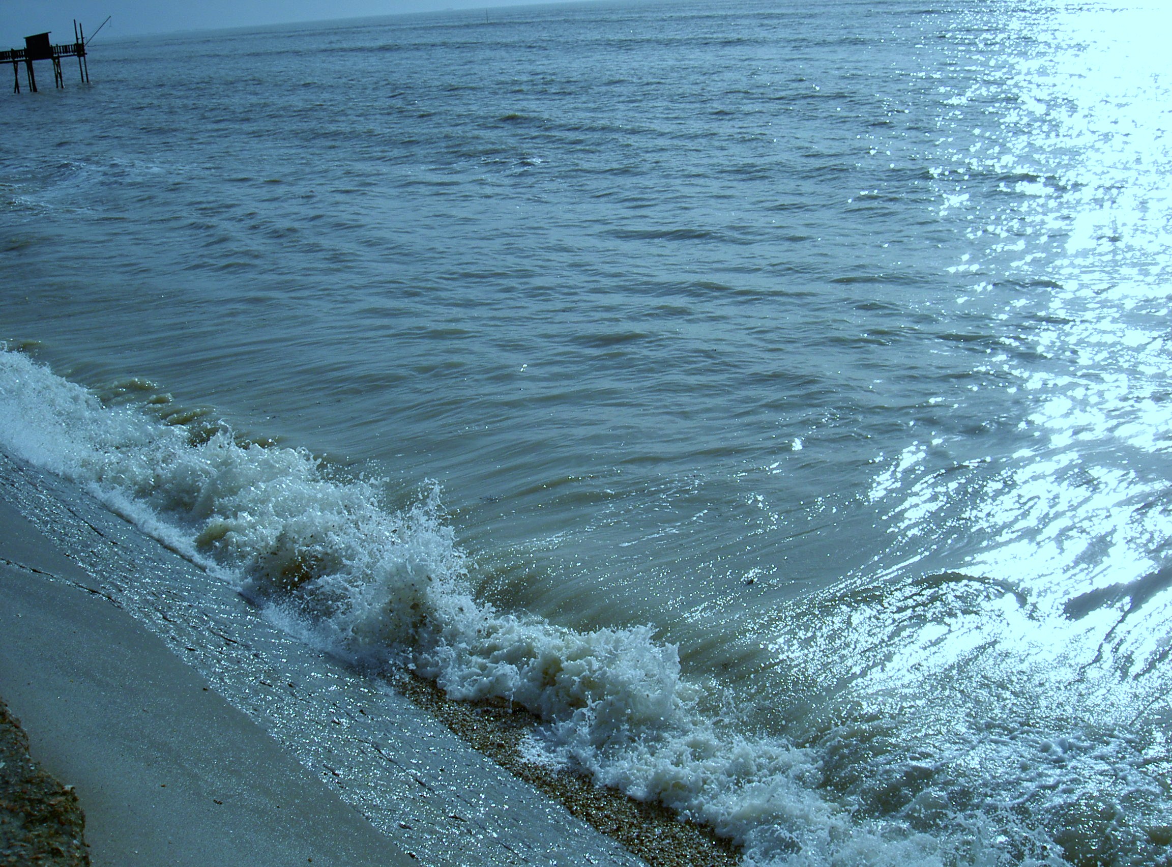 Mer 019