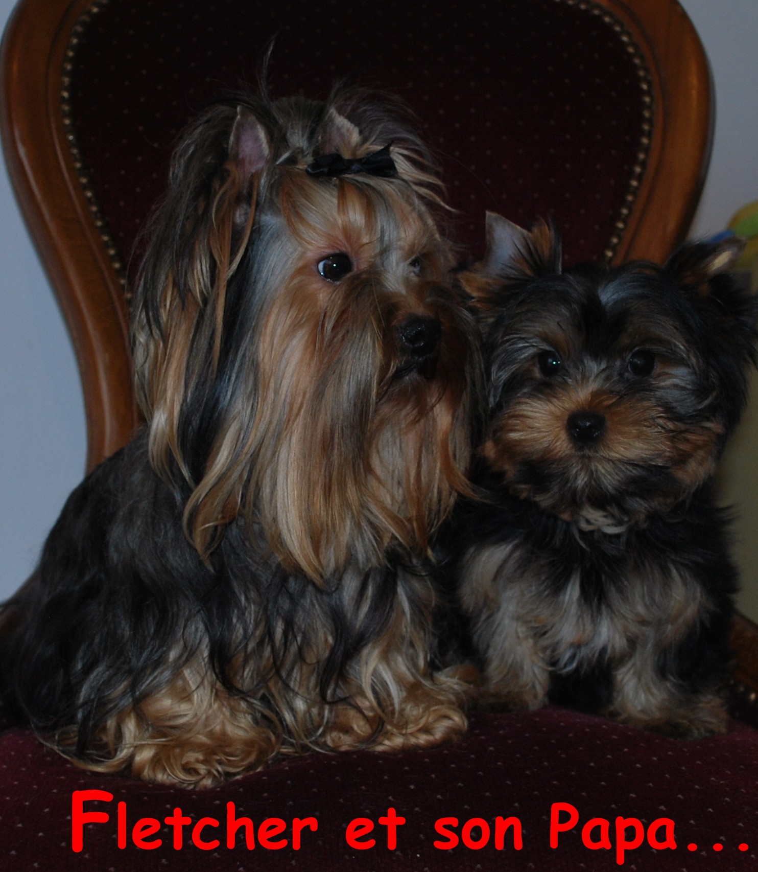Fletcheres