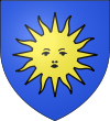 Blason taxi Nerac