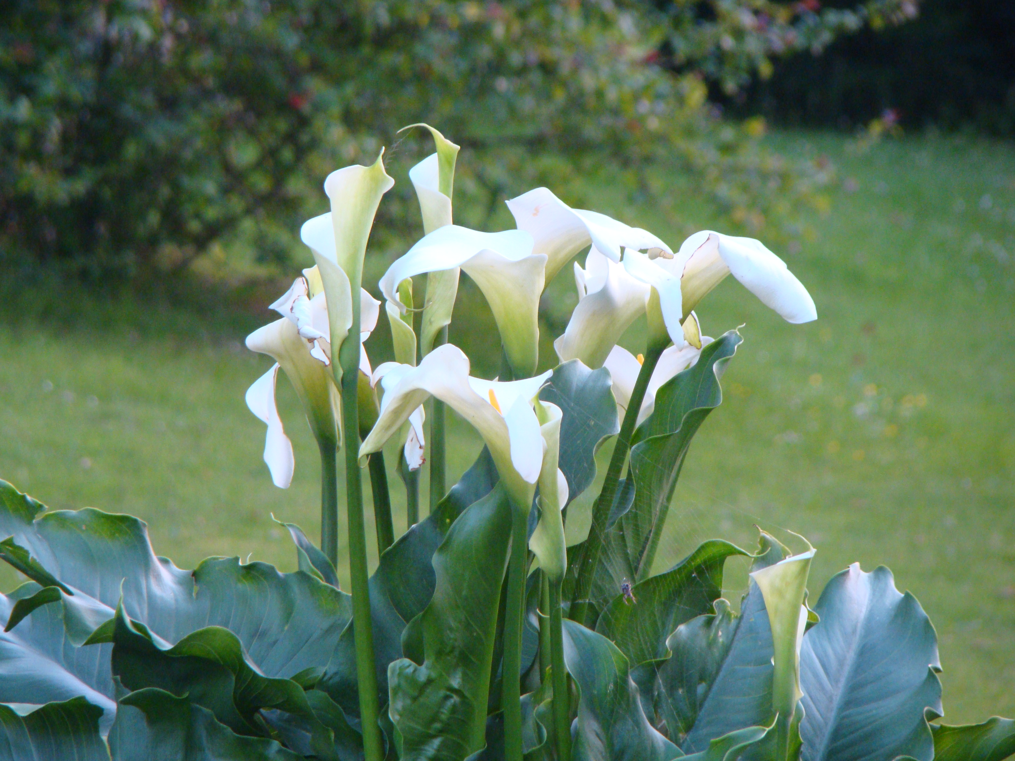 Ete 2009 023