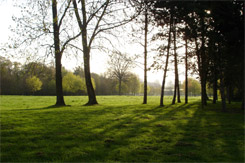Le parc de 15 hectares de forêt et de verdure.