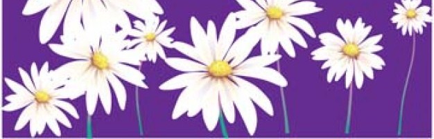 Daisy flower romashka 9 11 38107
