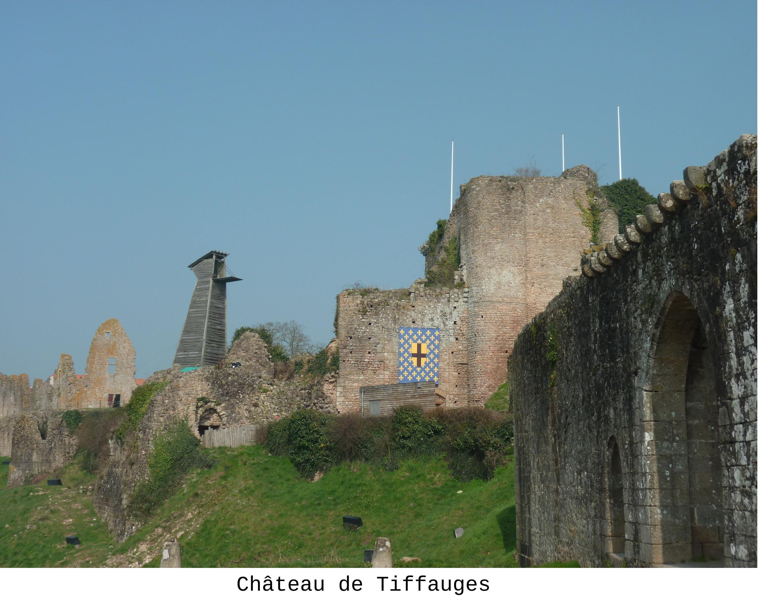Tiffauge 1