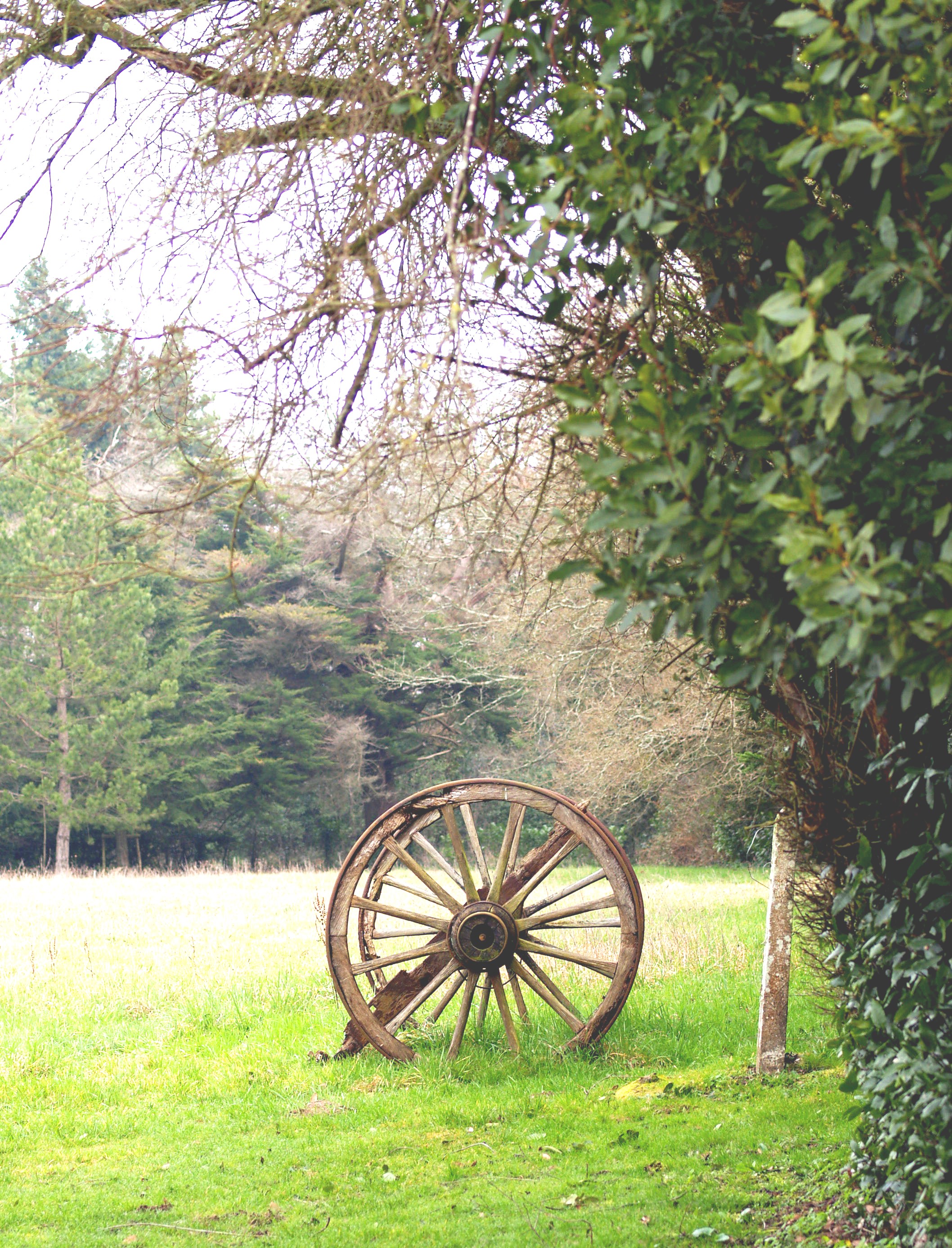 Roue 68
