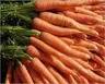 Carottes