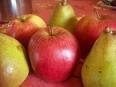 Pommes poires