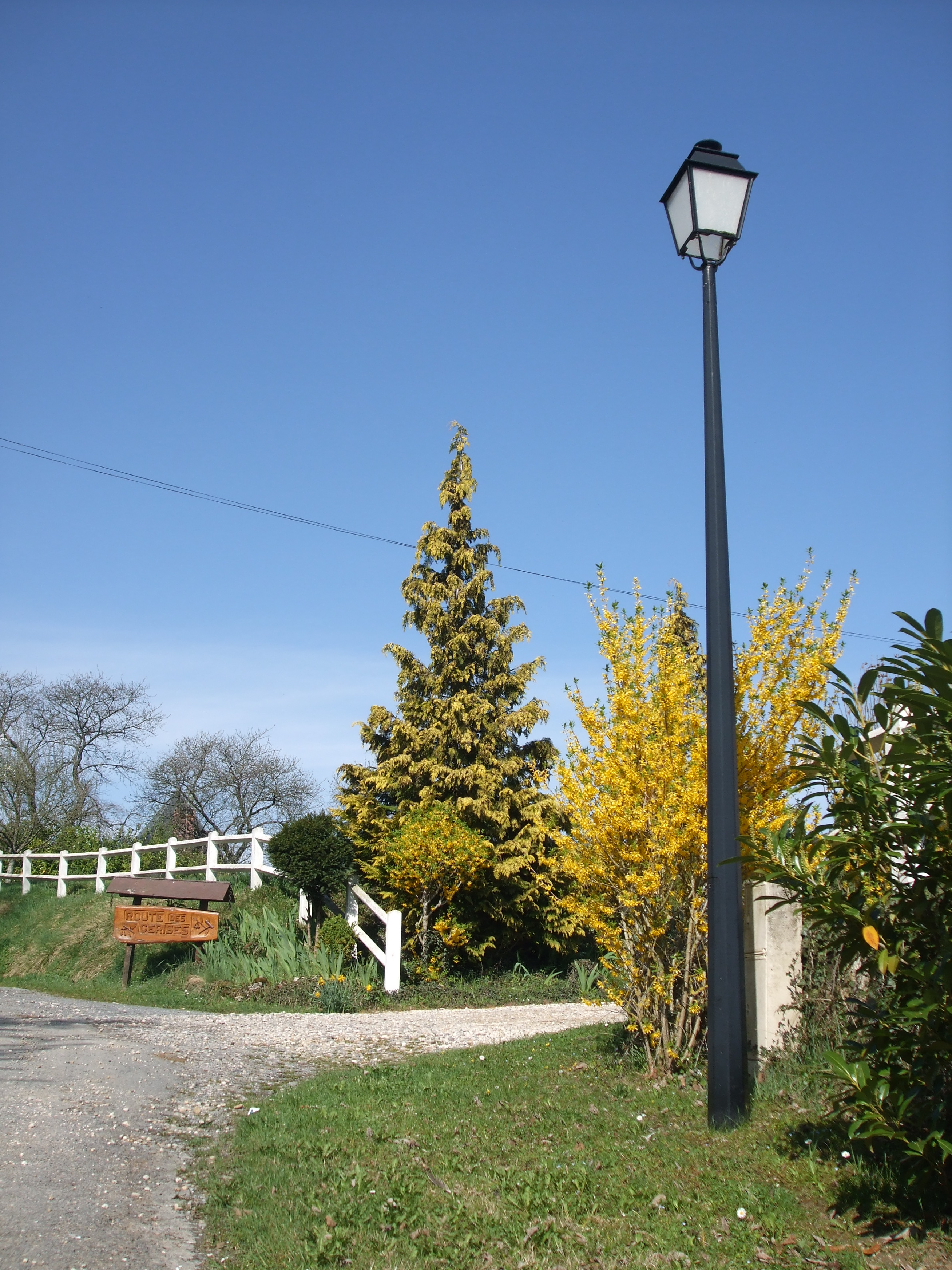 Dscf0337