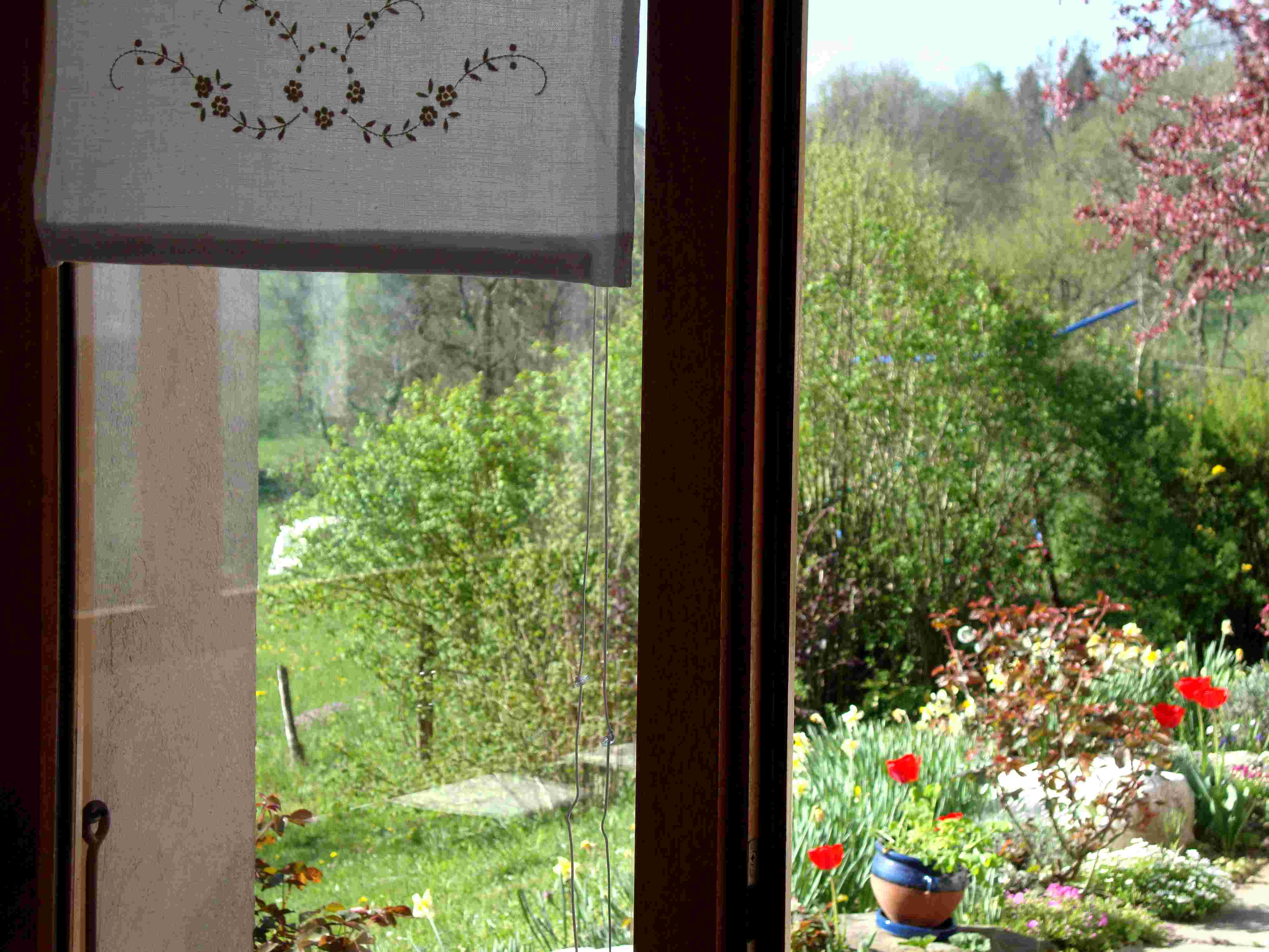 Vue du gite 6 