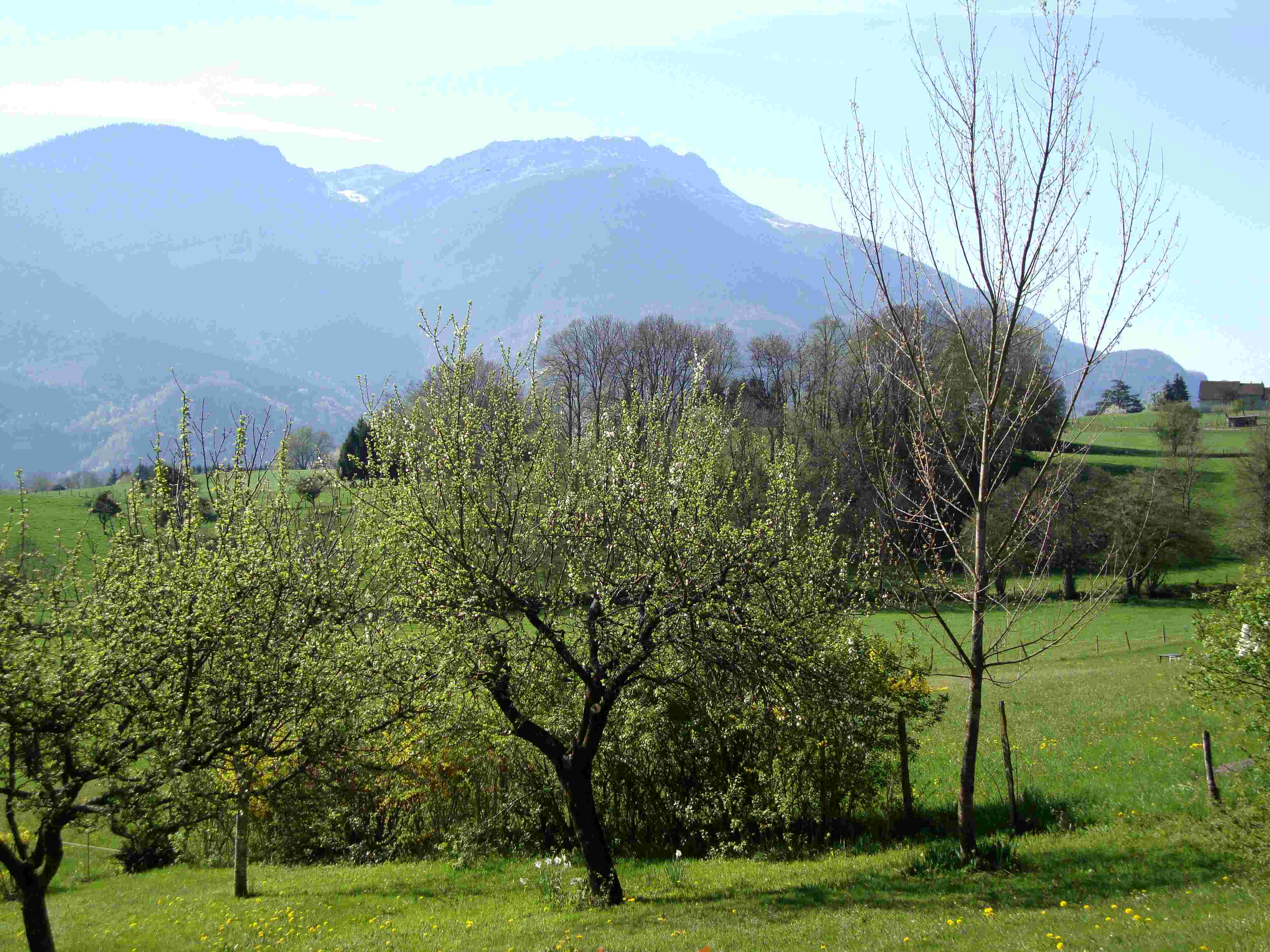 Vue du gite 7 