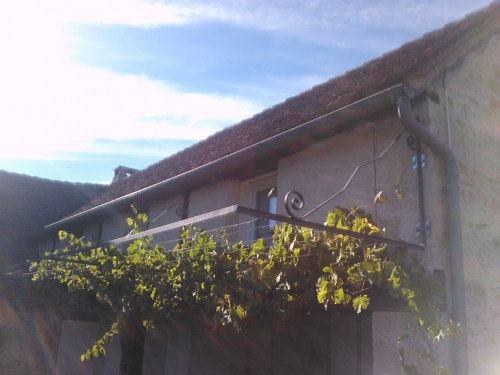 Pergolas support treille