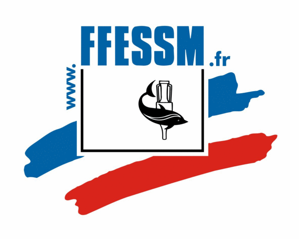 Logo ffessm