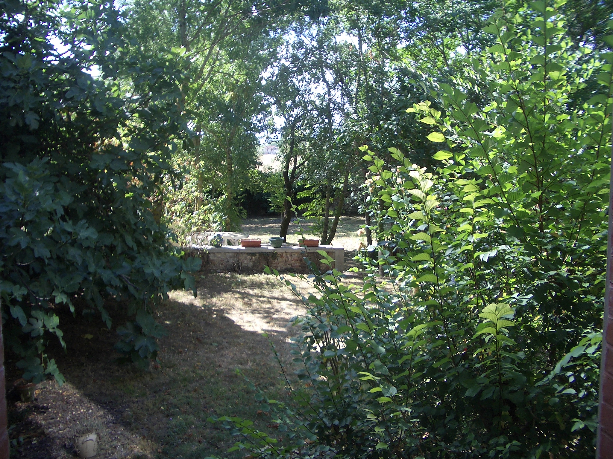 5 cote sud