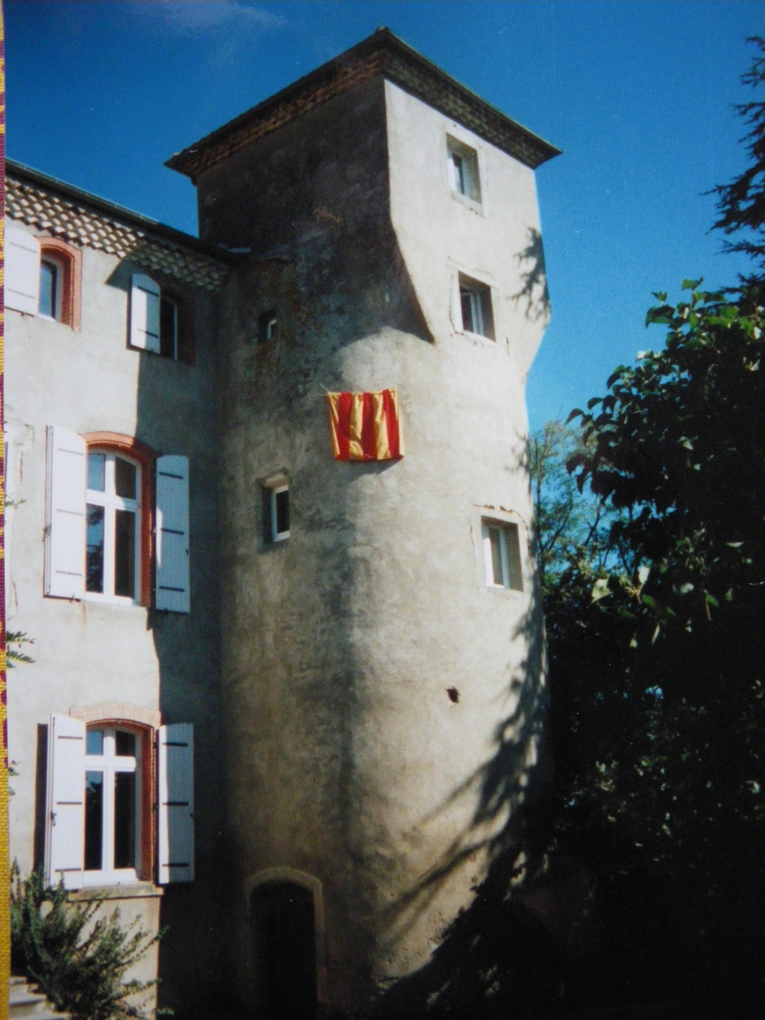 IMGP3805