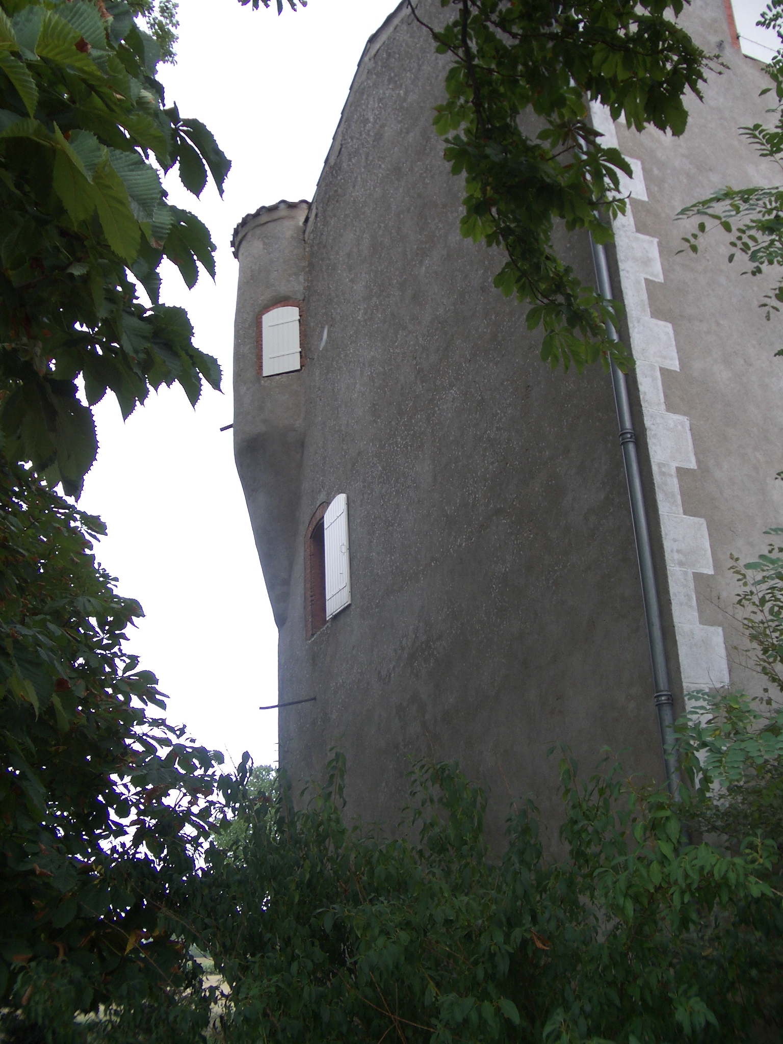 IMGP0396