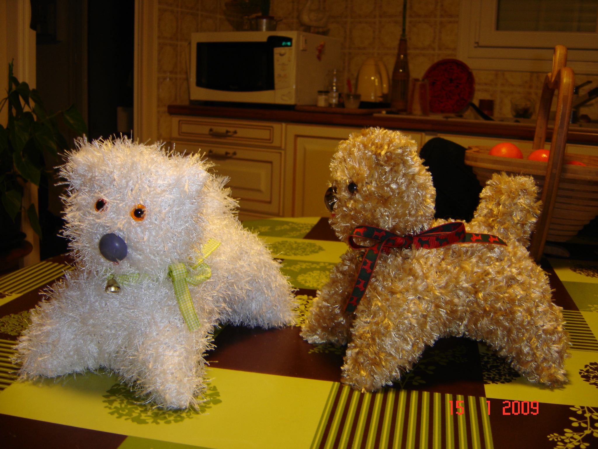 chiens 15 euros pièce