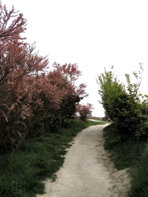 Talmont32