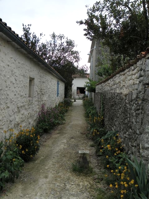 Talmont41