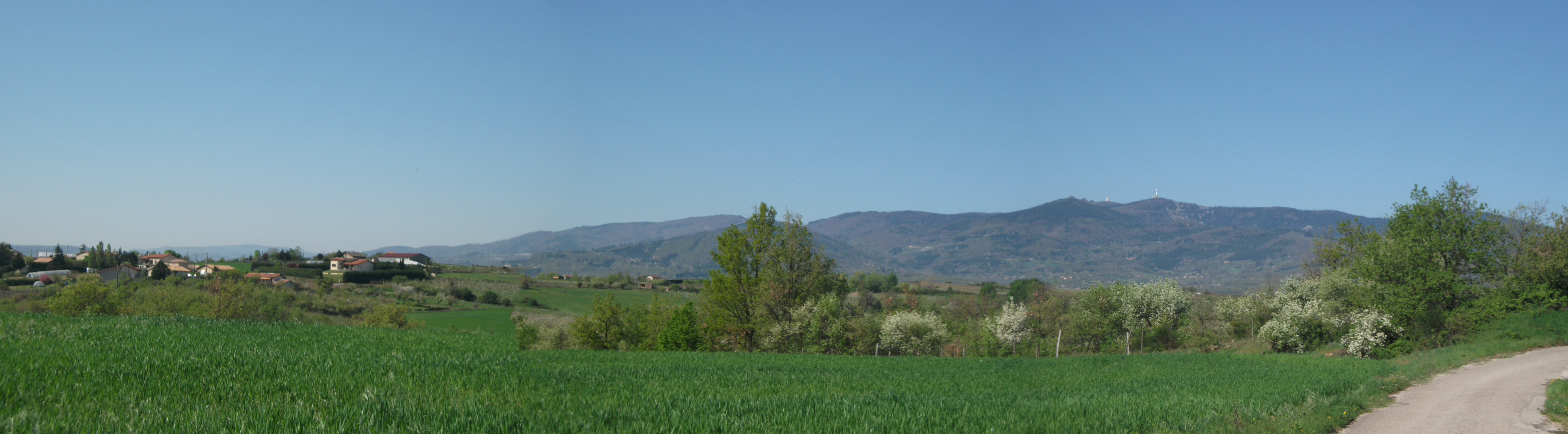 DSCF2801