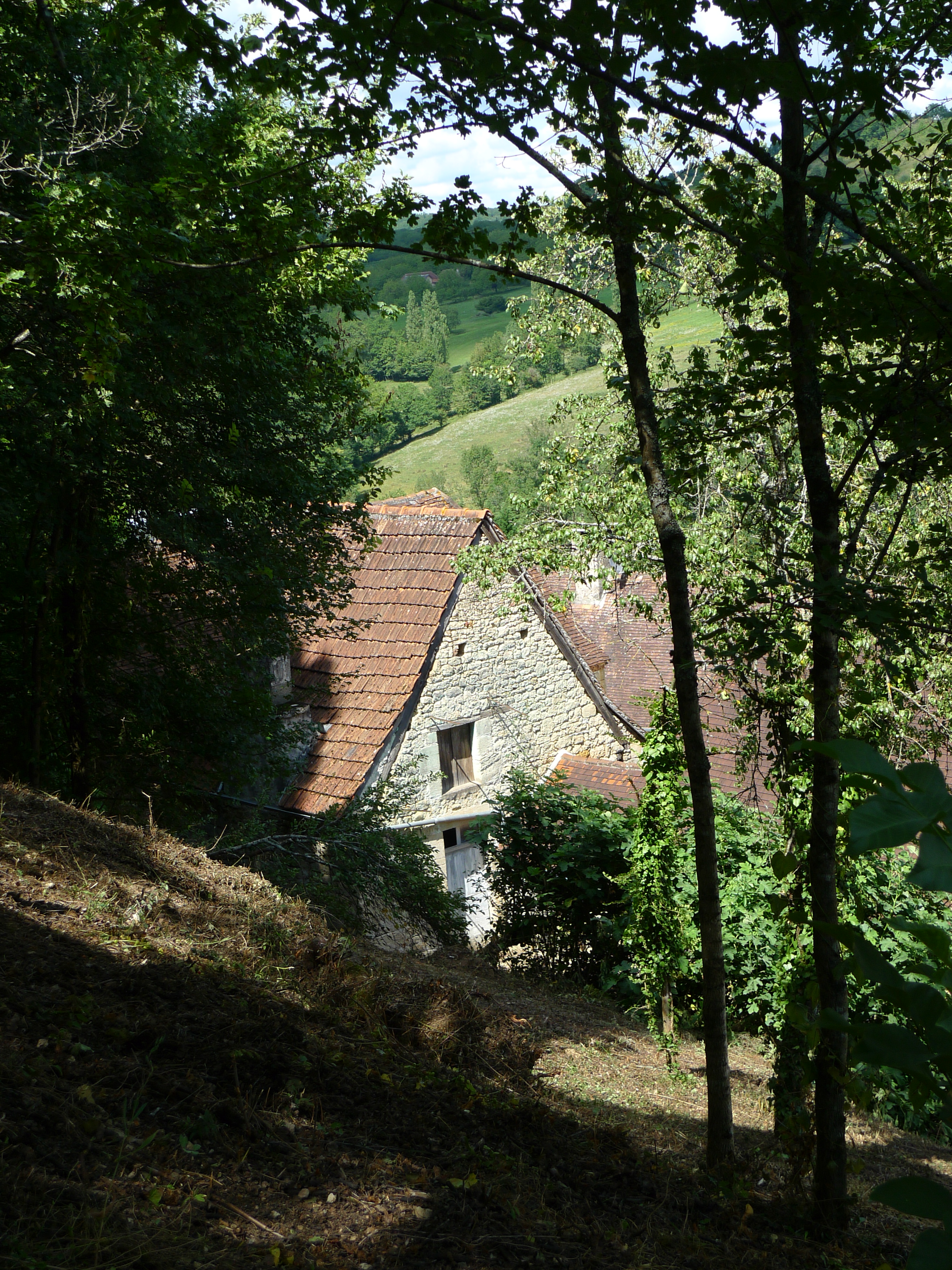 P1000832