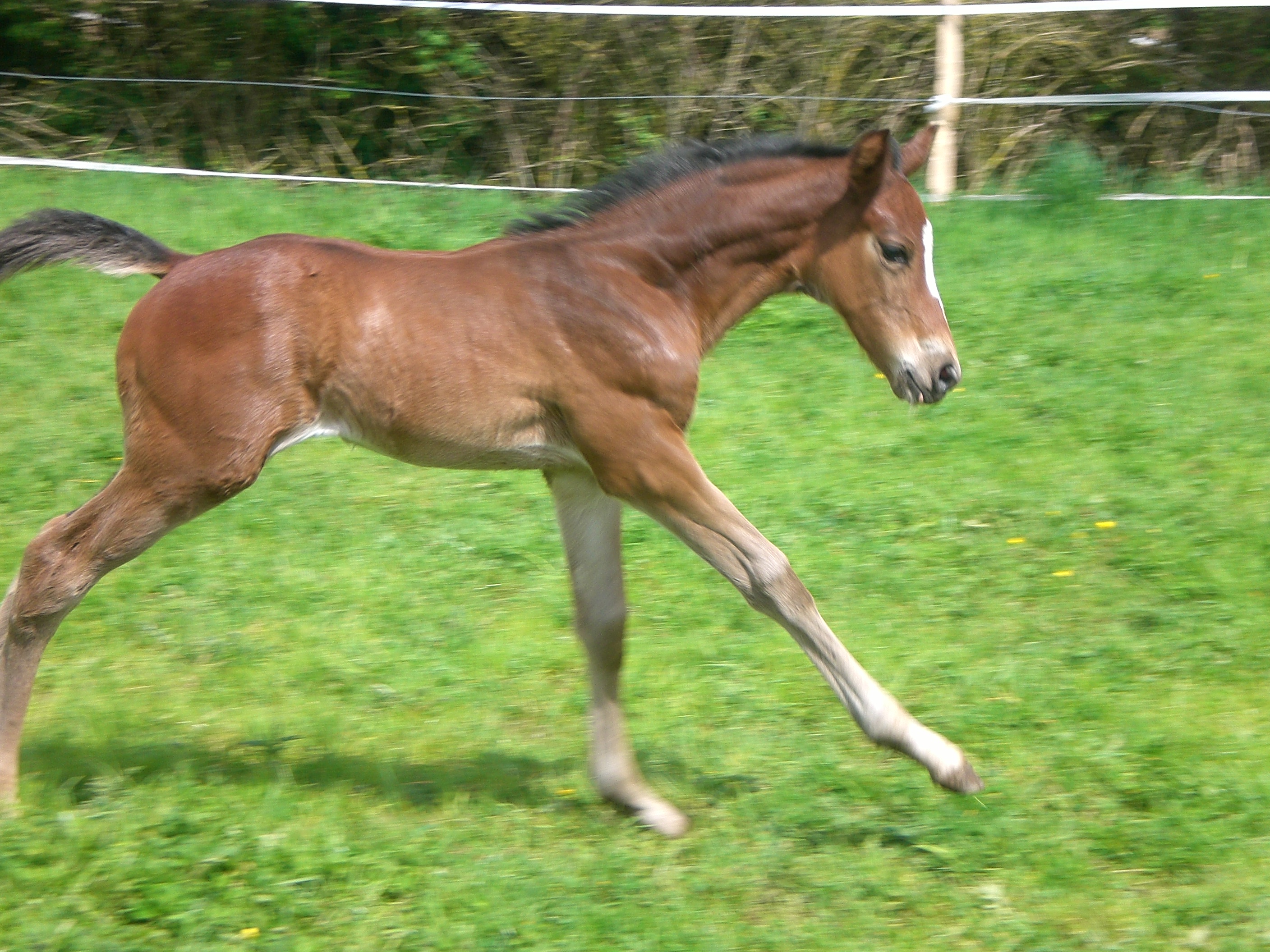 Juillet 2009 104