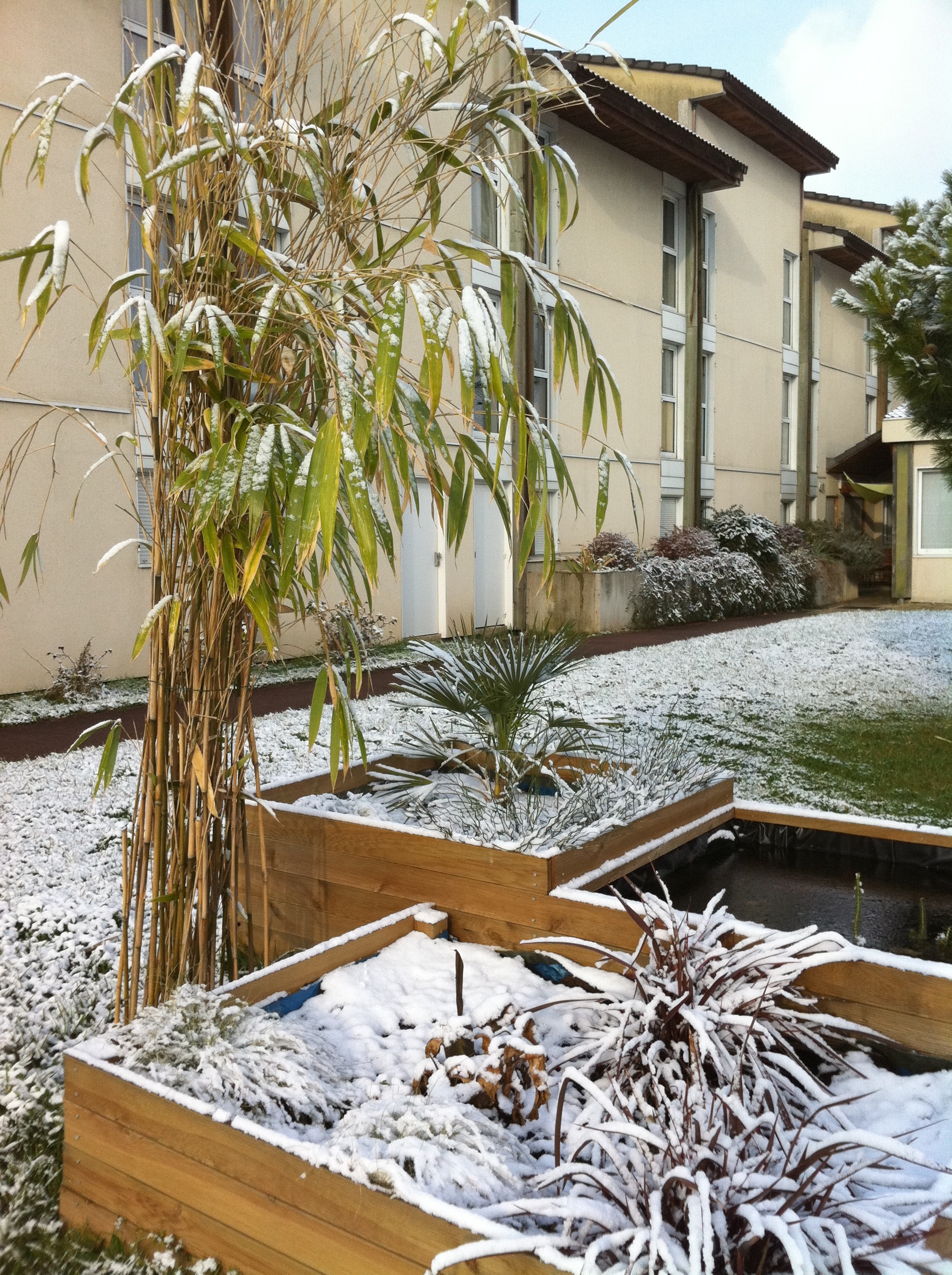 Bassin neige