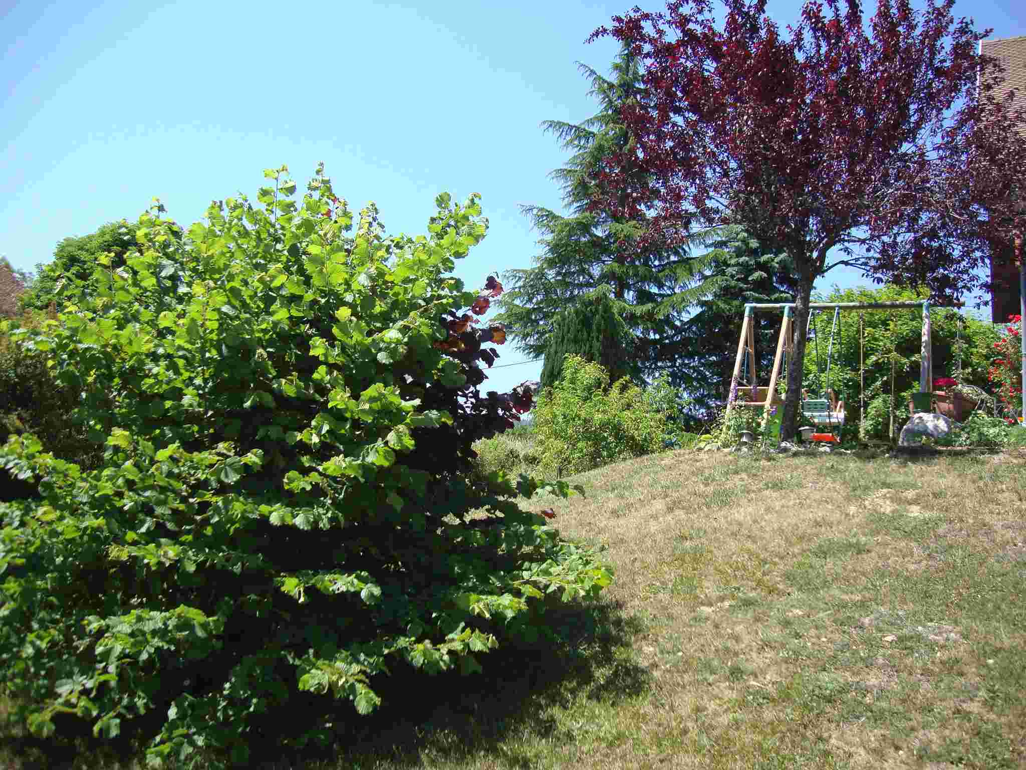 Copie de le 25 5 2011 003