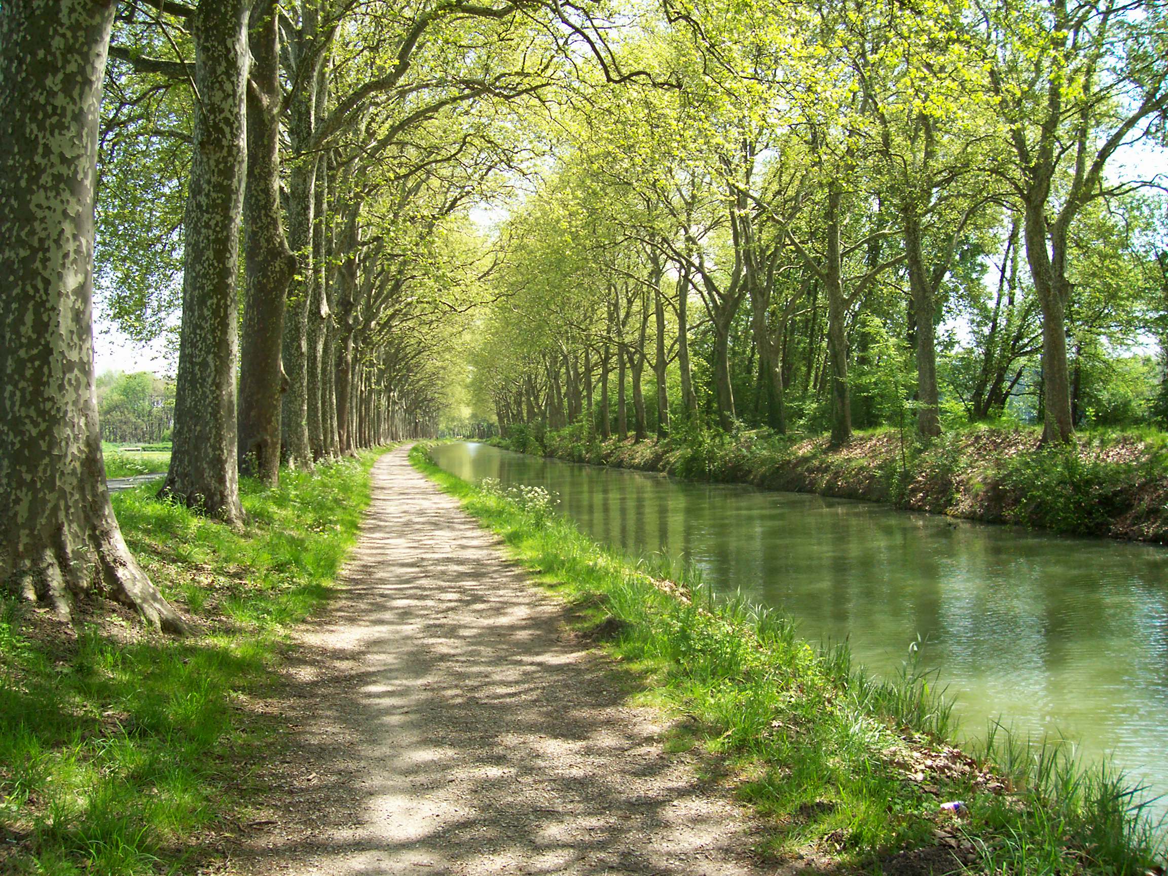 Canal du midi