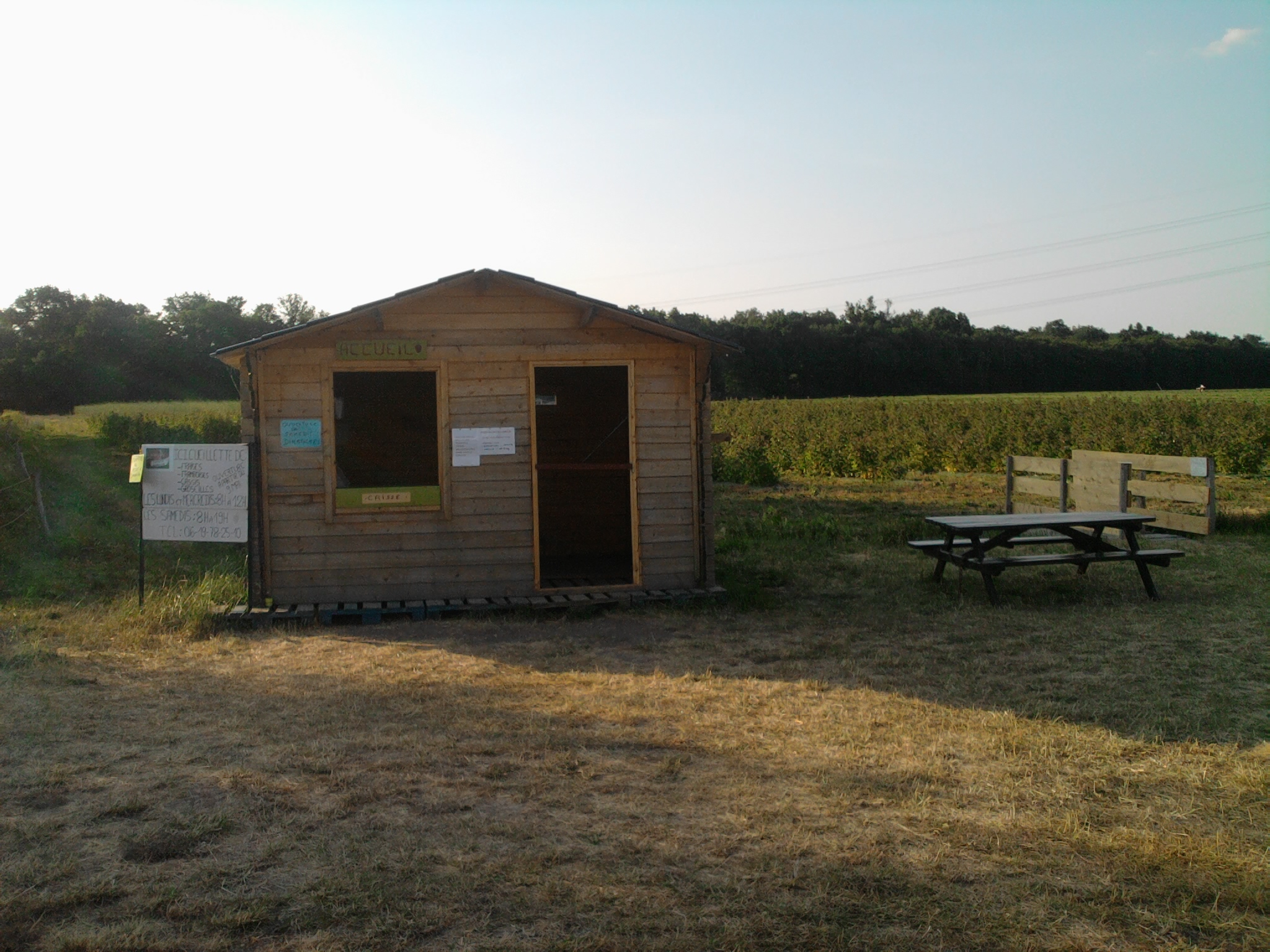 Photo0292