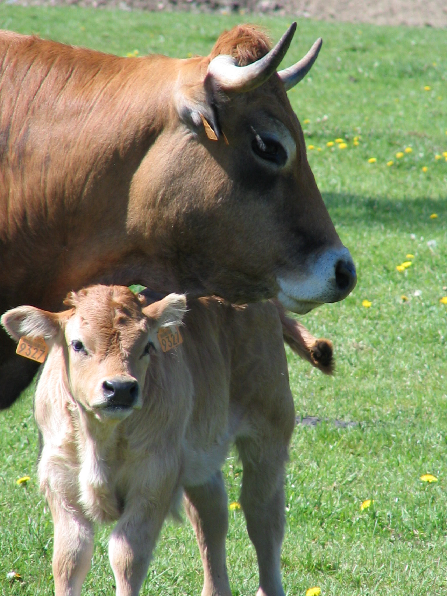 La terrisse 24 05 10 72 