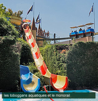 Toboggan touroparc