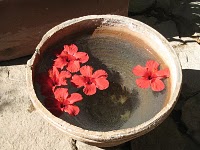 Passarela