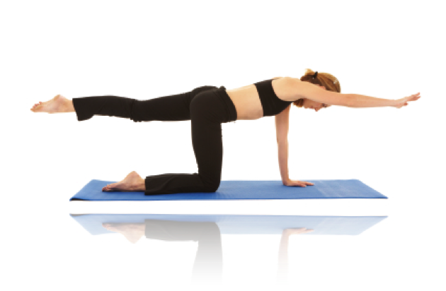 Swimming quadrupedie