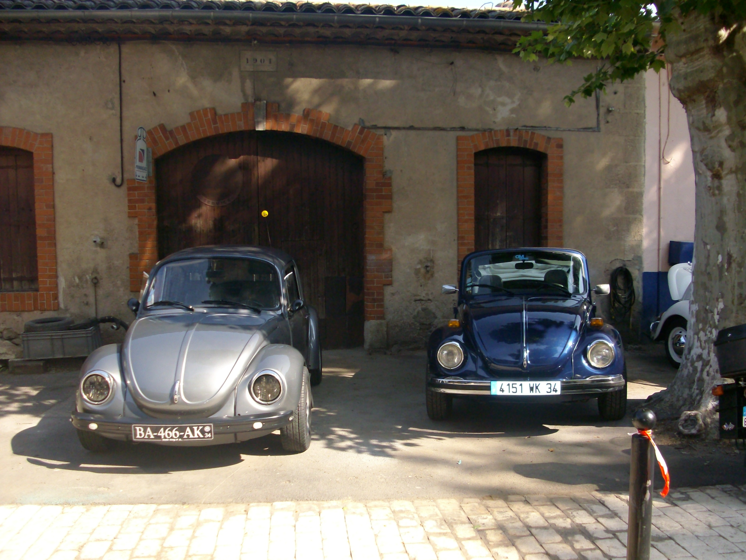 Imgp1704