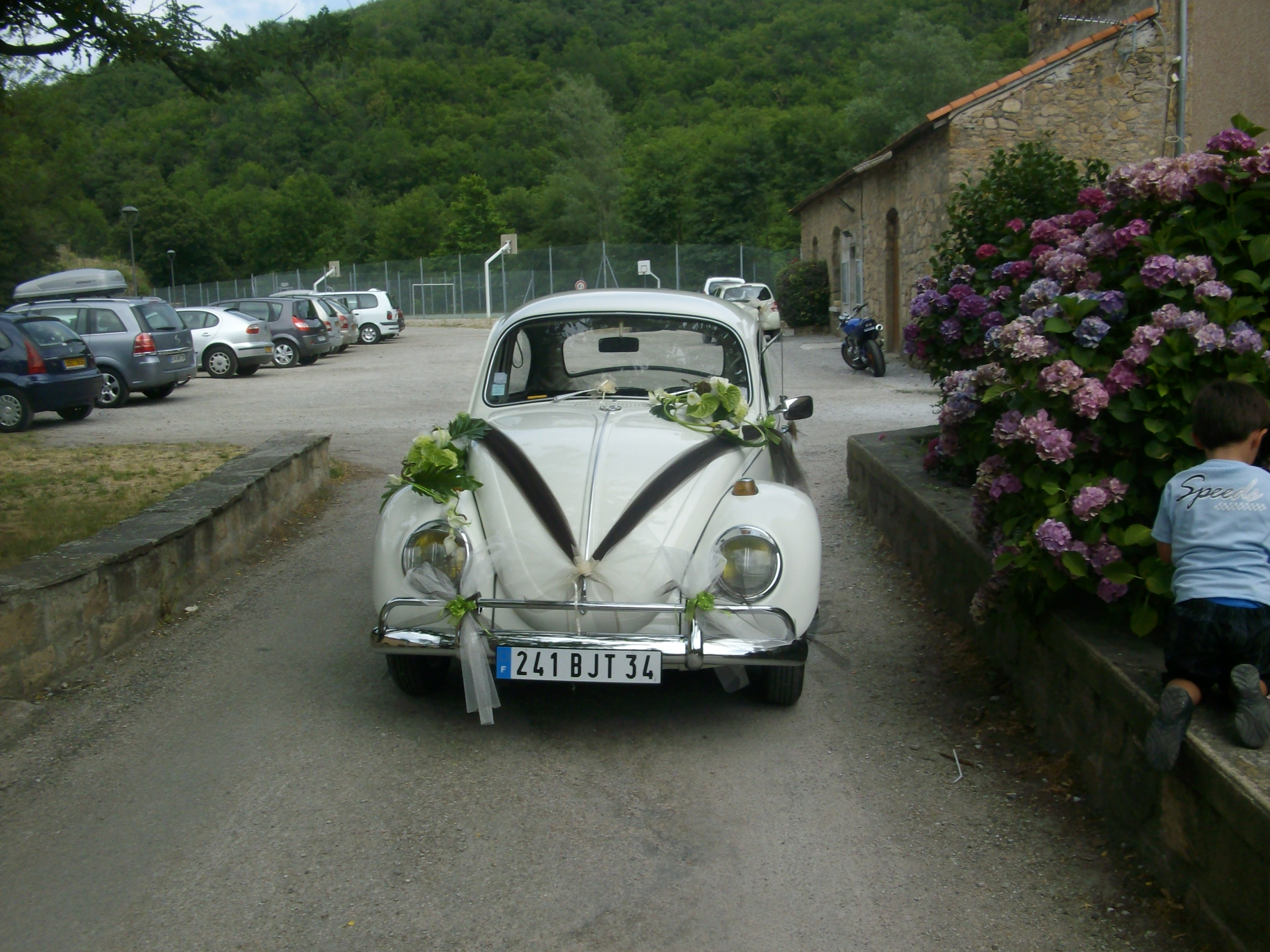 IMGP1823