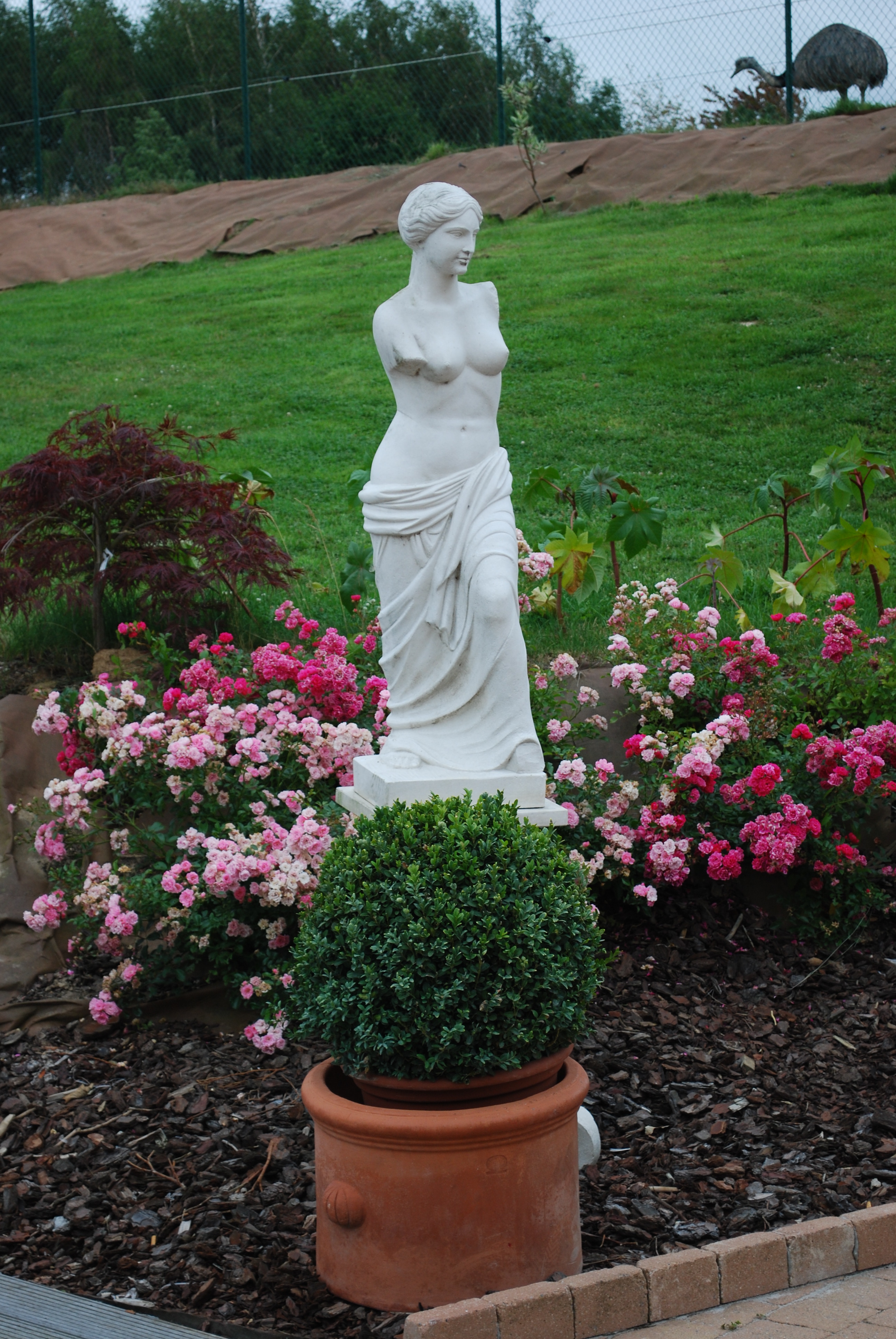 Dsc 0071