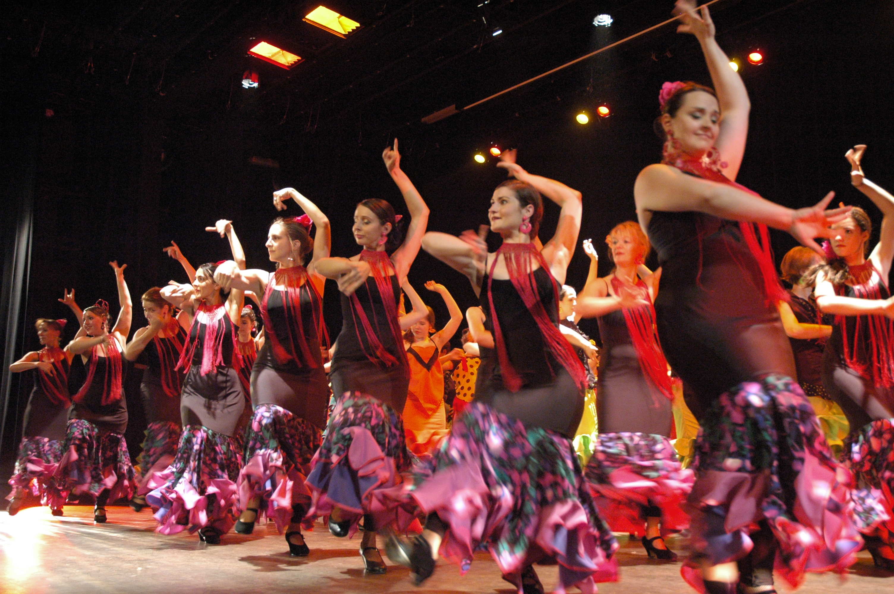 ALEGRIA association danses du Monde MURET