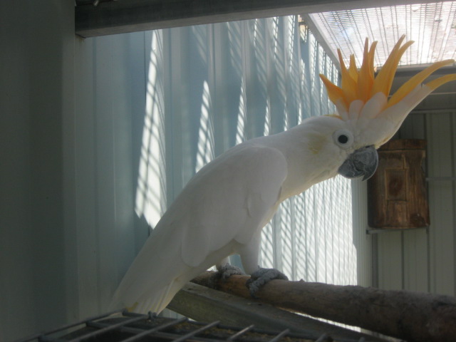 Img 1764