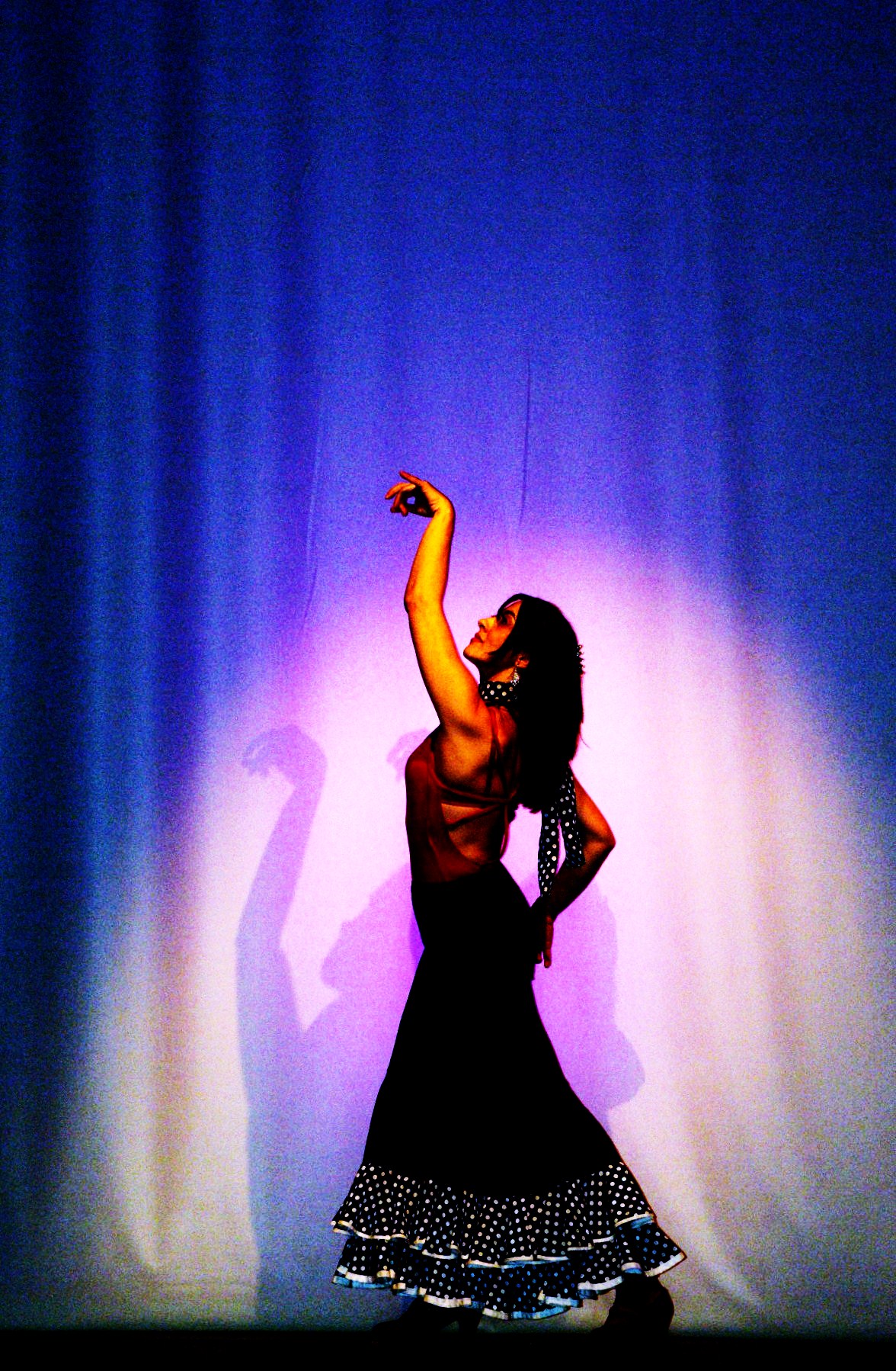 Céline spectacle de Mark Céan 2010