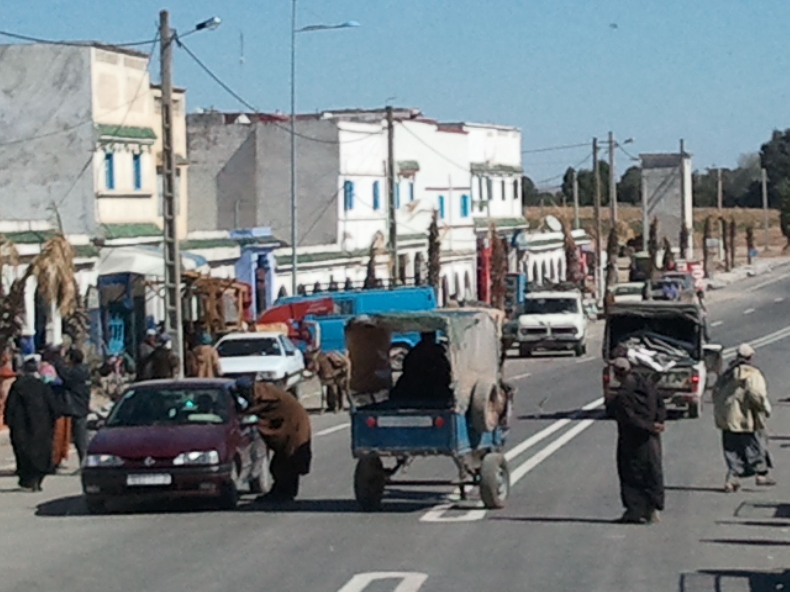 Photo0091