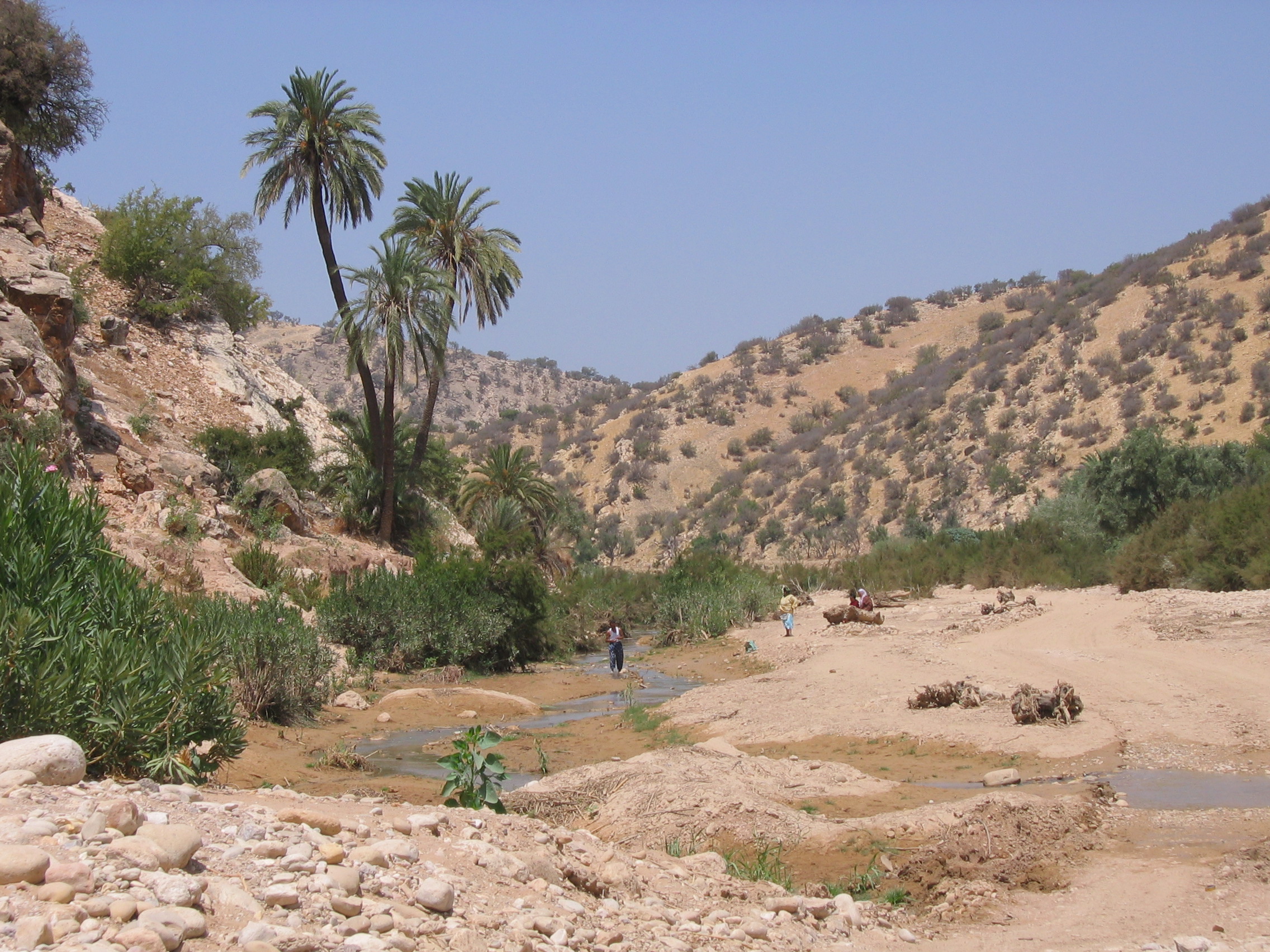 Maroc aout 2009 031