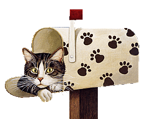 Boite mail chat