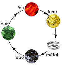 Les 5 elements