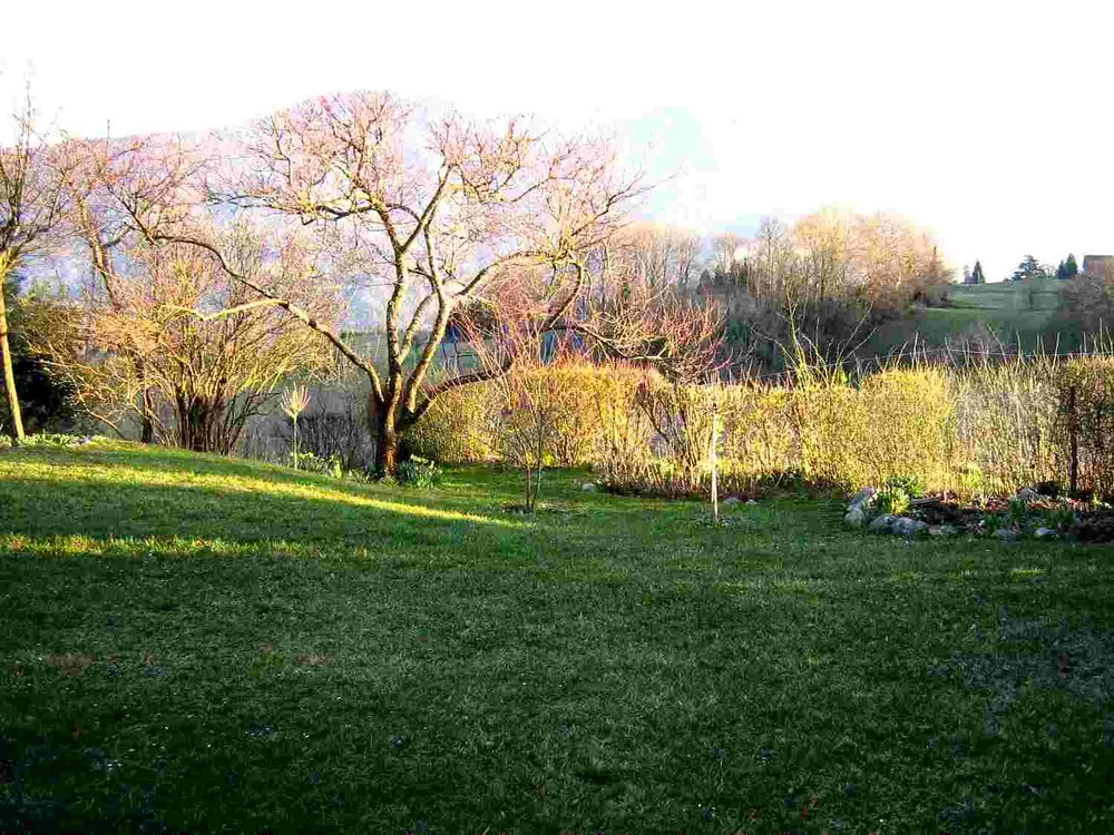 Gite miribel 019