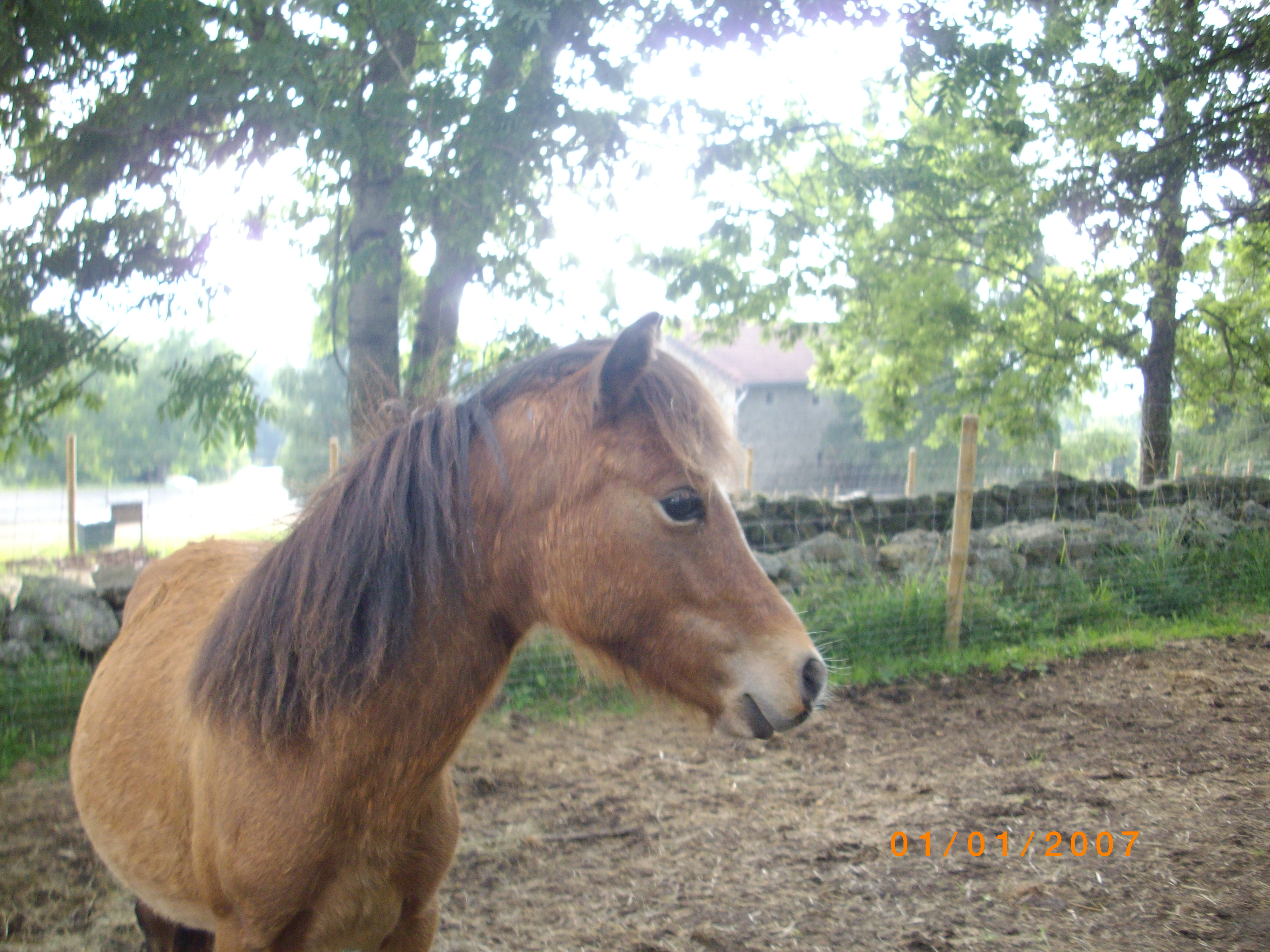 Imgp3493