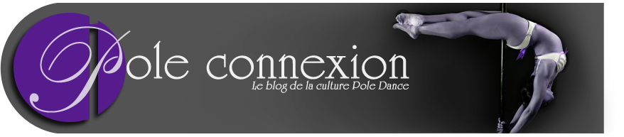 Pole connexion bandeauviolet