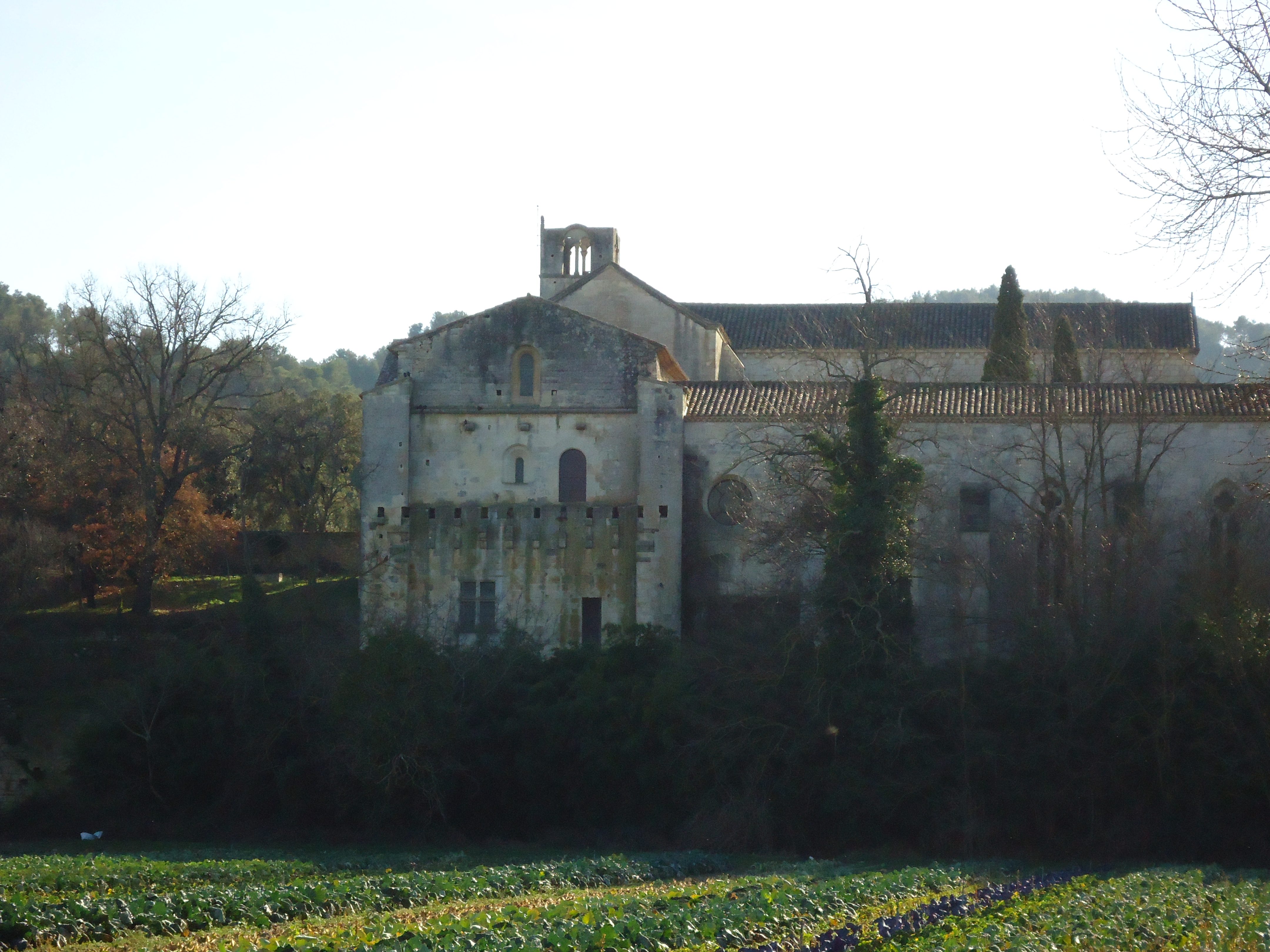 Dsc00059