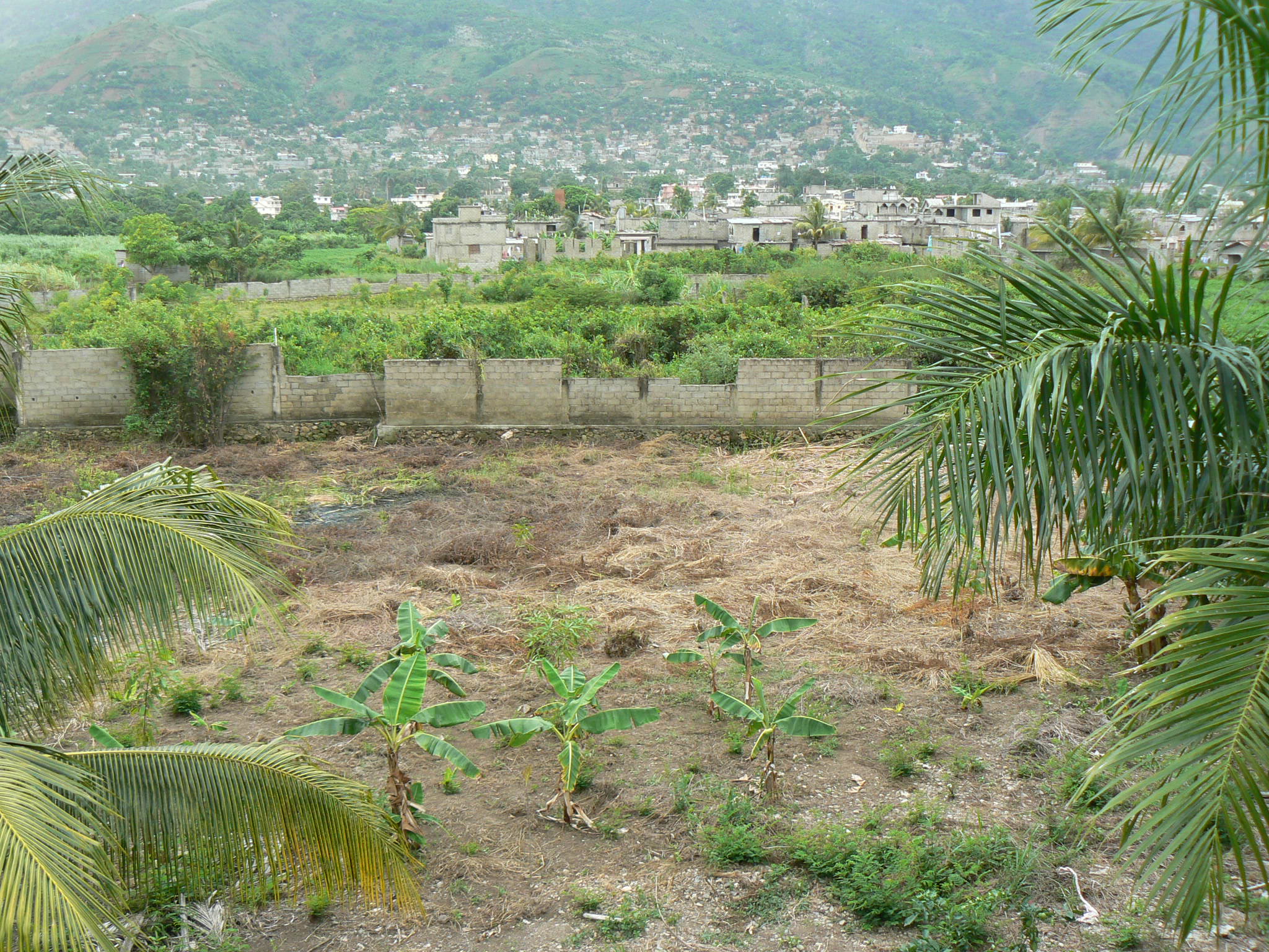 P1050479