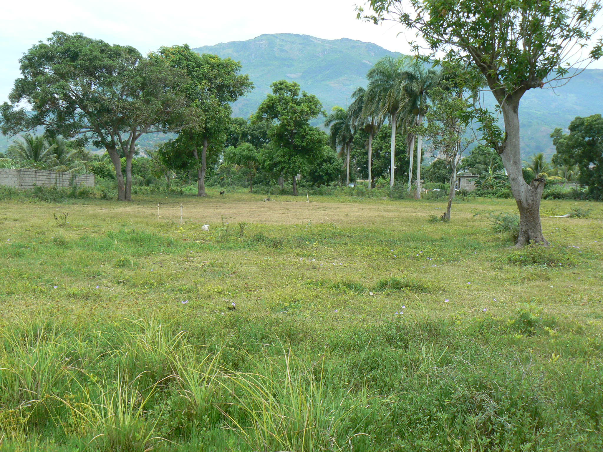 P1050669