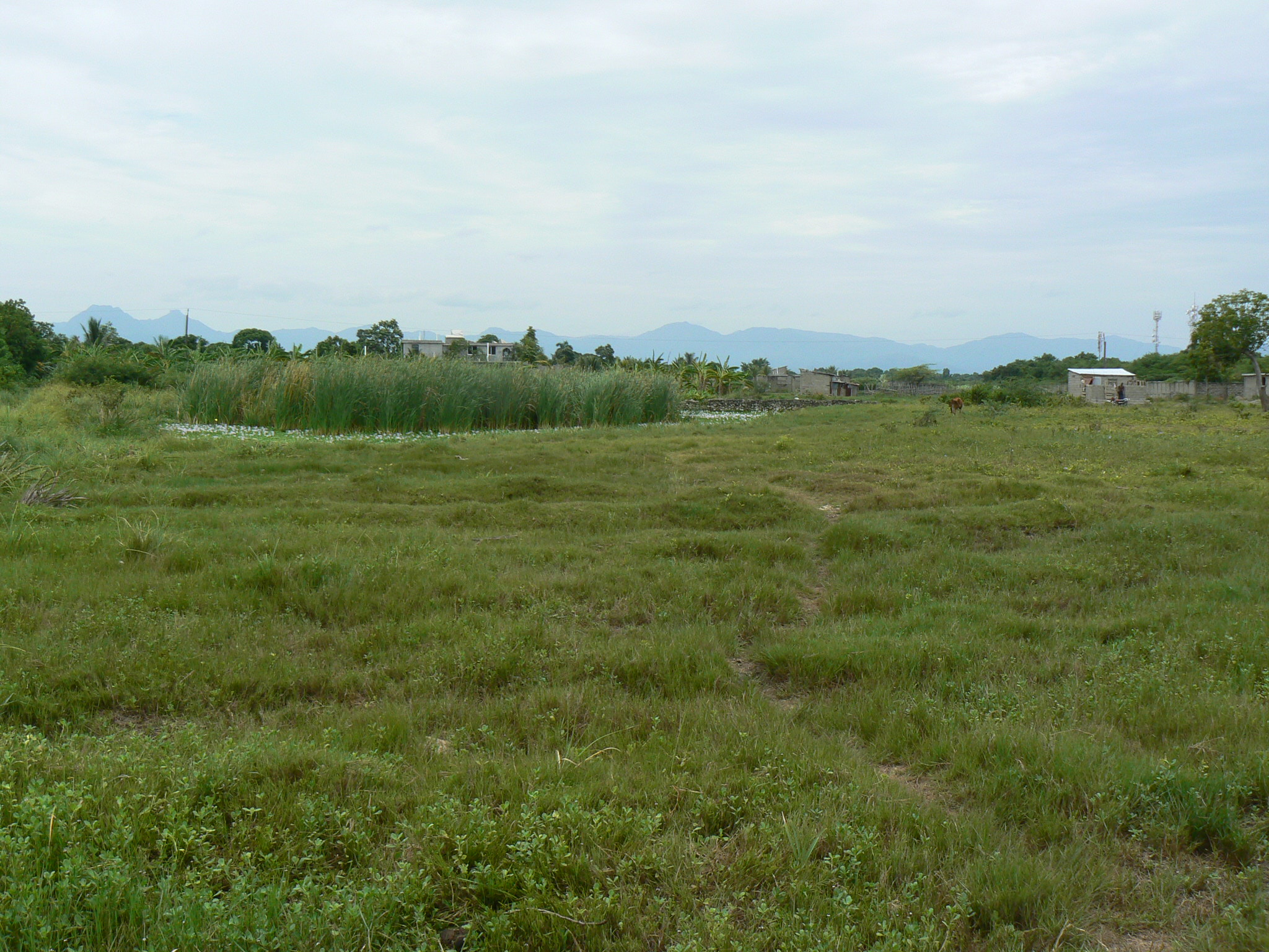 P1050666